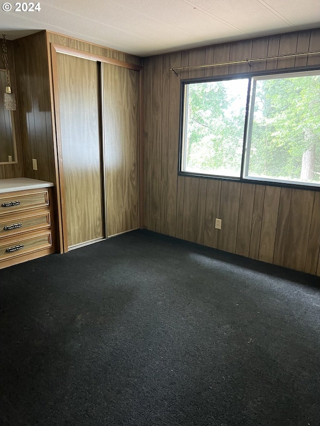 empty room featuring wood walls and dark colored carpet