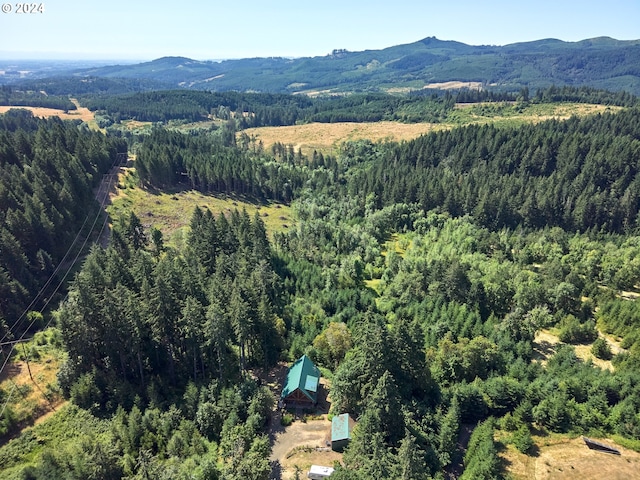 birds eye view of property featuring a mountain view