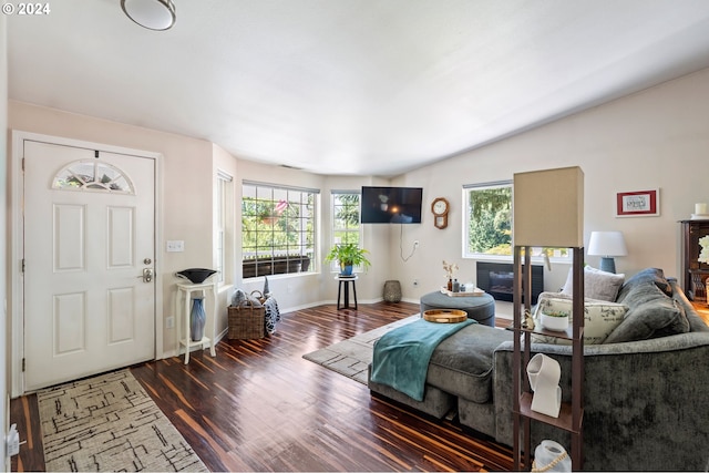 living room featuring vaulted ceiling and dark hardwood / wood-style flooring