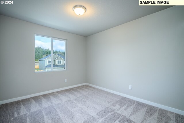 spare room with baseboards and carpet flooring