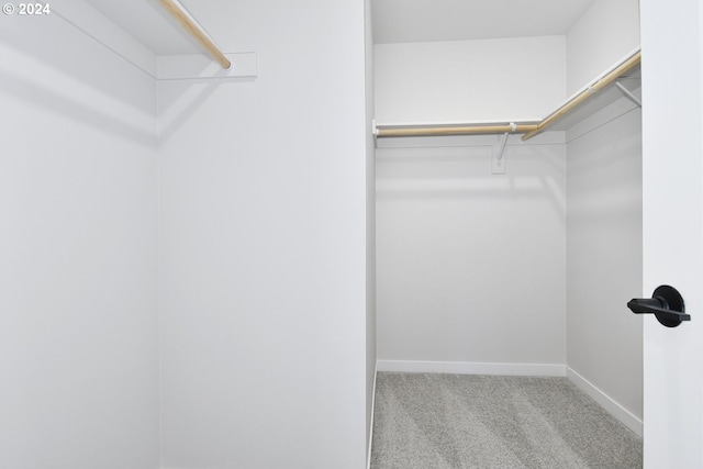 walk in closet with carpet