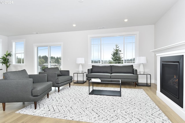 living room featuring light hardwood / wood-style floors