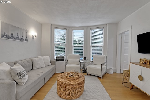 living room featuring light hardwood / wood-style floors and a textured ceiling