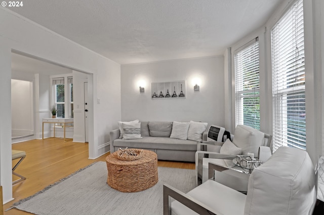 living room featuring a textured ceiling and hardwood / wood-style flooring