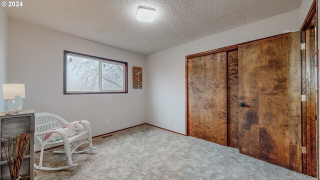 interior space featuring carpet, a closet, and a textured ceiling