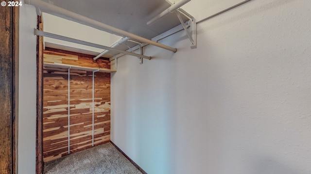 spacious closet featuring carpet flooring