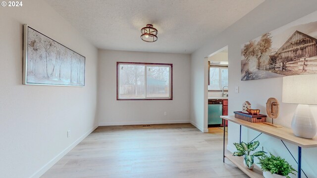 interior space with light hardwood / wood-style flooring, sink, and a textured ceiling