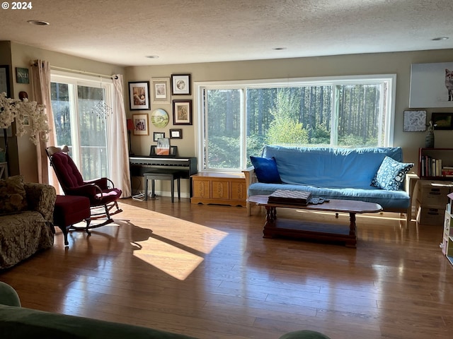 living room featuring plenty of natural light and wood-type flooring