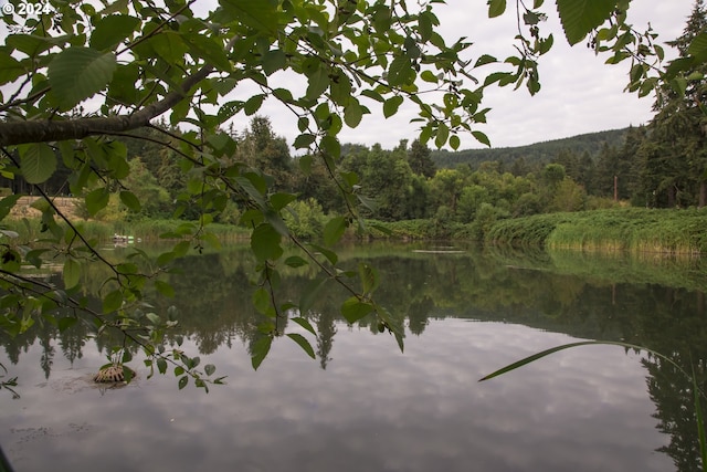 property view of water featuring a forest view