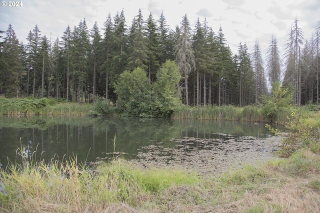 view of local wilderness with a water view