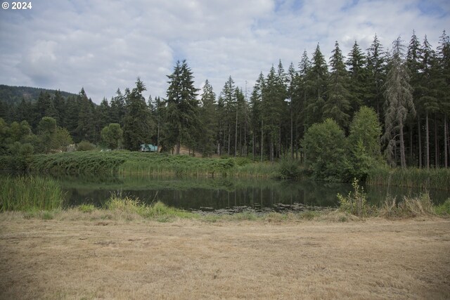 view of nature featuring a water view