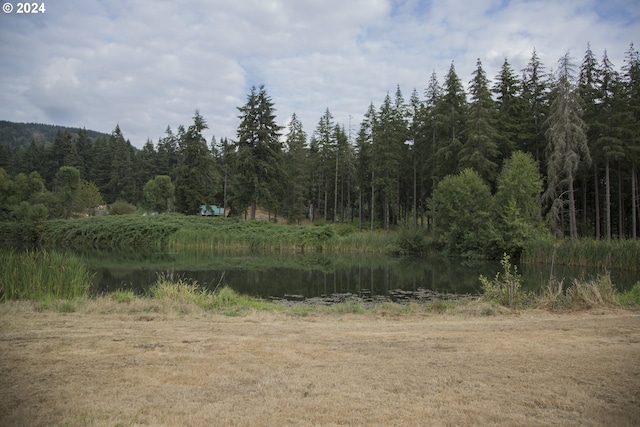 view of local wilderness with a water view and a view of trees