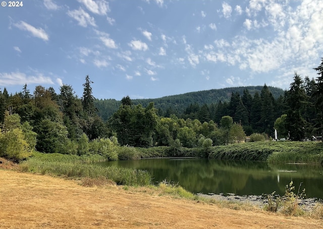 water view featuring a view of trees