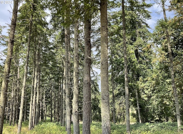 view of local wilderness with a forest view