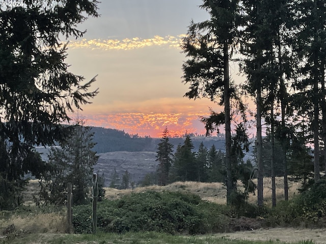 property view of mountains with a wooded view