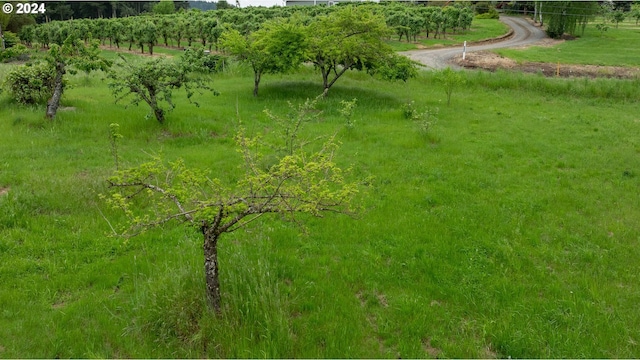 view of nature featuring a rural view