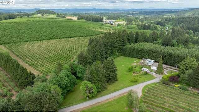 bird's eye view with a rural view