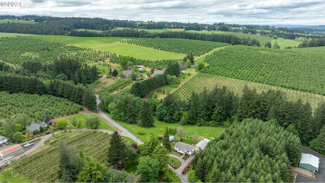 bird's eye view with a rural view