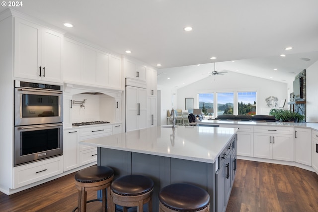 kitchen with an island with sink, dark hardwood / wood-style flooring, stainless steel appliances, lofted ceiling, and ceiling fan