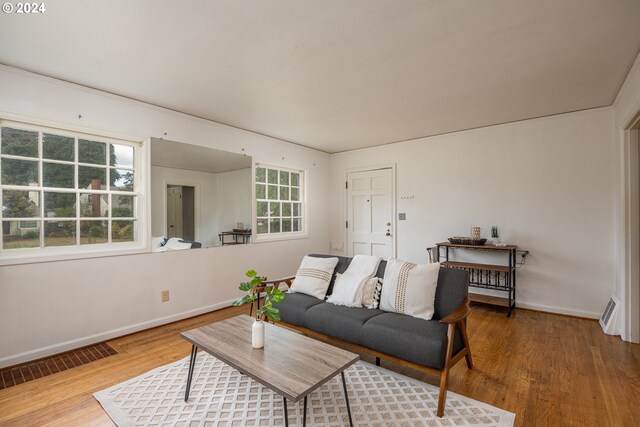 living room with hardwood / wood-style flooring and a healthy amount of sunlight