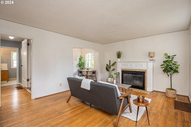 living room with a wealth of natural light, light hardwood / wood-style floors, and a fireplace