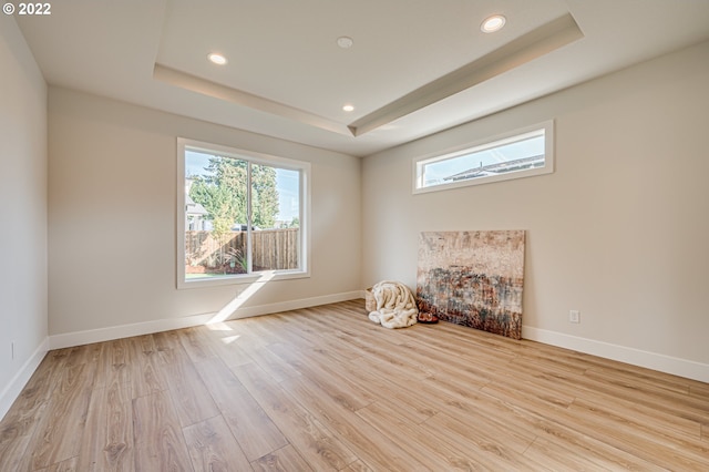 interior space featuring a raised ceiling and light hardwood / wood-style floors