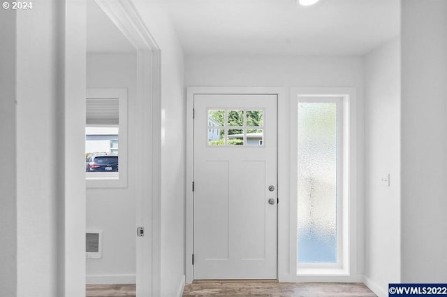 foyer with a wealth of natural light and light hardwood / wood-style floors