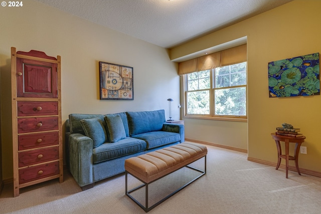 living room with light carpet, a textured ceiling, and baseboards