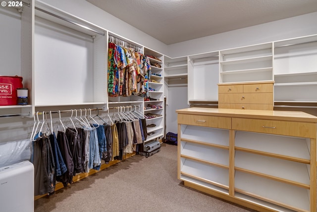 spacious closet with carpet floors