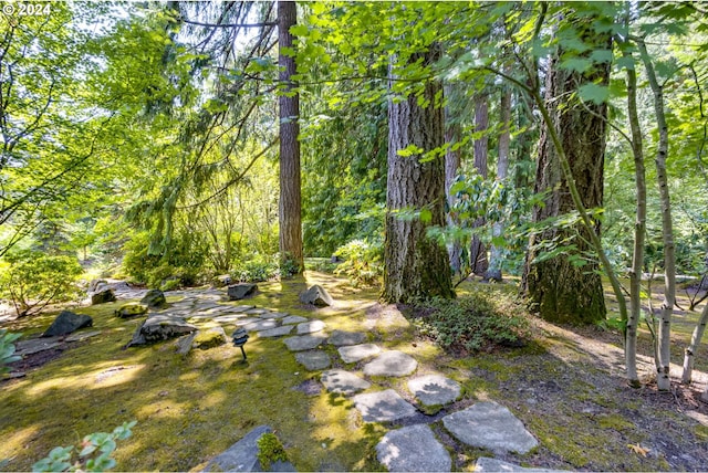 view of yard featuring a forest view