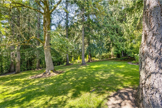 view of yard with a view of trees