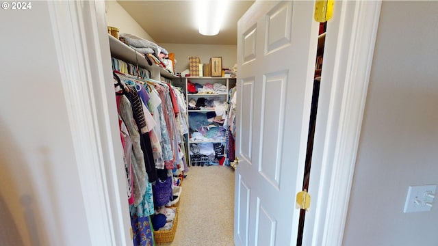 walk in closet with carpet