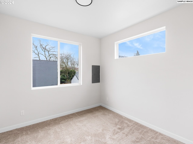 carpeted empty room with a healthy amount of sunlight