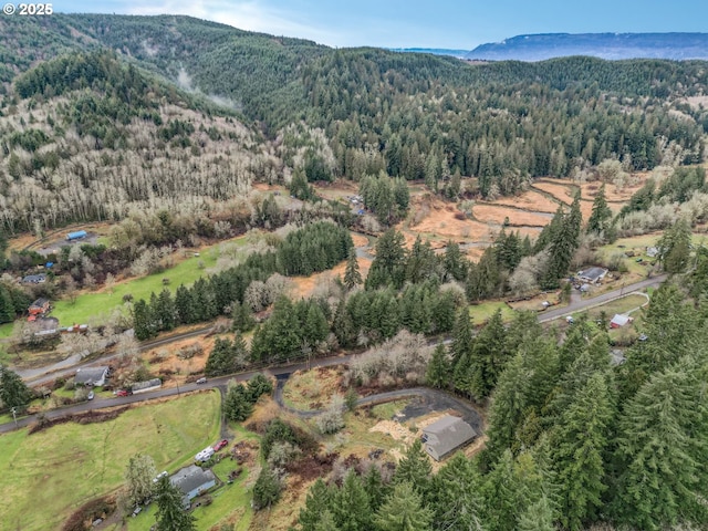 drone / aerial view featuring a mountain view