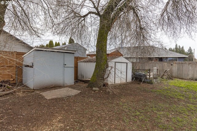 rear view of house with a patio area and a yard