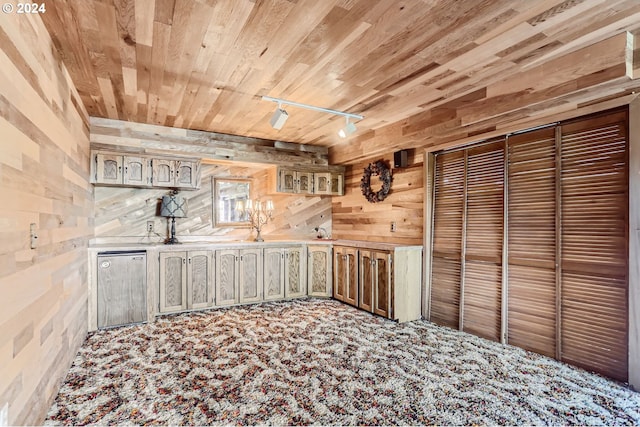 interior space with wood walls, carpet floors, stainless steel refrigerator, wood ceiling, and track lighting