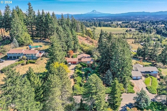 aerial view with a mountain view