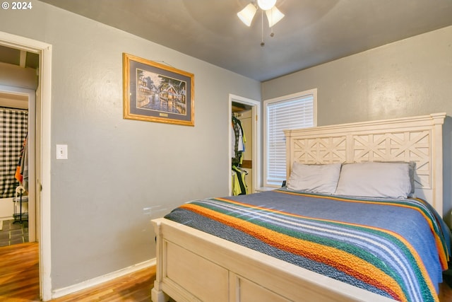 bedroom with light wood-type flooring, ceiling fan, and a walk in closet