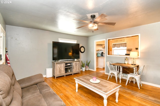 living room with ceiling fan and light wood-type flooring