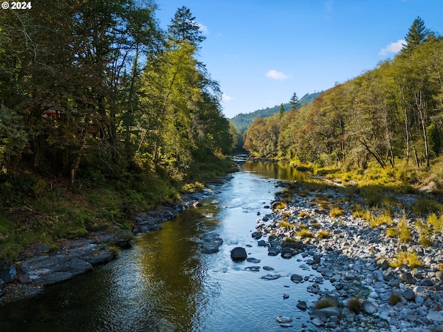 property view of water with a wooded view