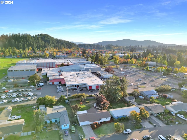 bird's eye view featuring a mountain view