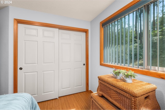 3824 Brighton Ave, Eugene, OR 97405 - bedroom with multiple windows, light wood-type flooring, and a closet