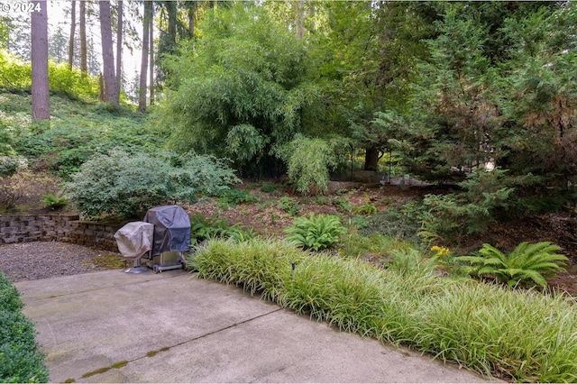 3824 Brighton Ave, Eugene, OR 97405 - view of yard with a patio area
