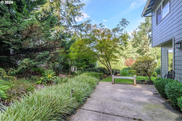 3824 Brighton Ave, Eugene, OR 97405 - view of yard featuring a patio area