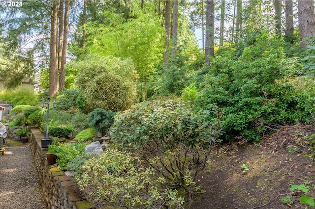 3824 Brighton Ave, Eugene, OR 97405 - view of nature