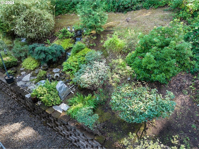 3824 Brighton Ave, Eugene, OR 97405 - view of nature