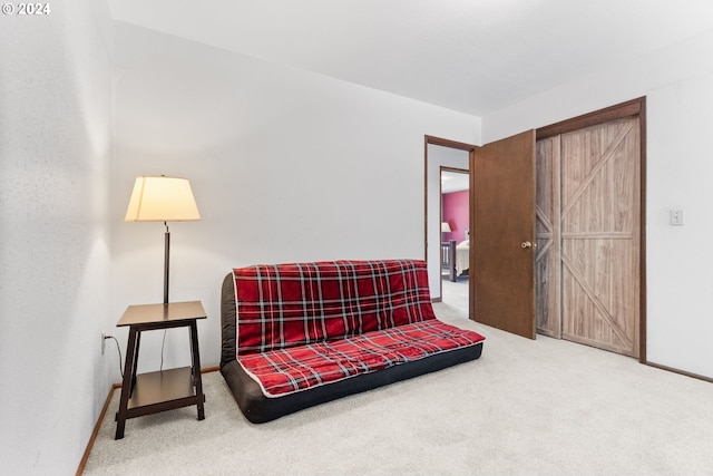 sitting room with carpet