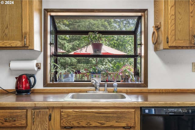 kitchen featuring sink and black dishwasher