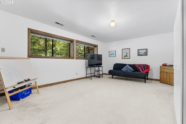 sitting room featuring carpet