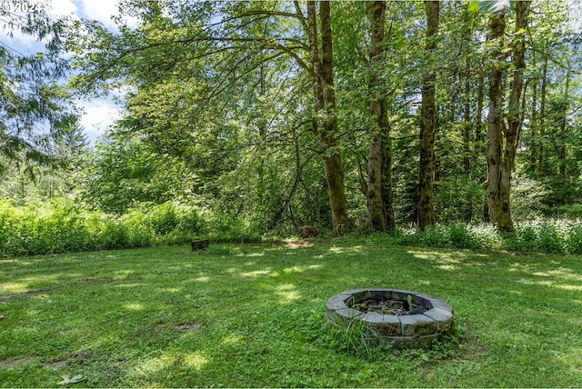 view of yard featuring an outdoor fire pit